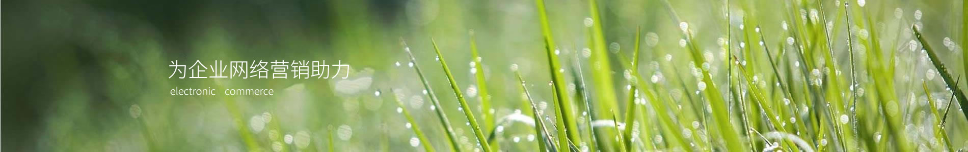 ݰԴƷƹ޹˾
